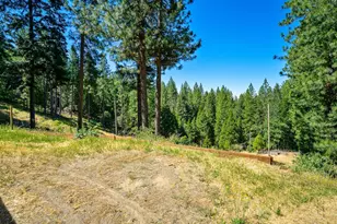 1423 Argonaut Ln, West Point, CA 95255 - Photo 18