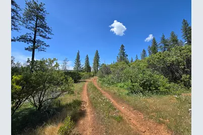 17711 Pamlo Way, Brownsville, CA 95919 - Photo 1
