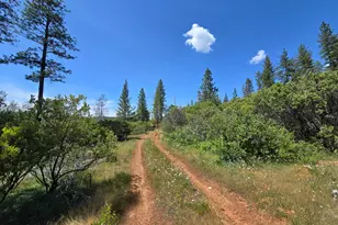 17711 Pamlo Wy, Brownsville, CA 95919 - Photo 1