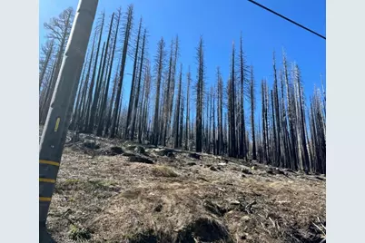 7177 Sierra Pines Road, Twin Bridges, CA 95735 - Photo 10