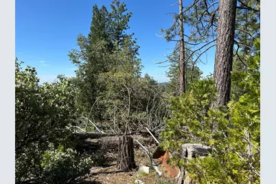 9809 Wildrose Lane, Coulterville, CA 95311 - Photo 2