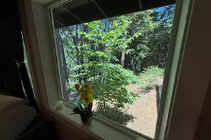 23445 Robin Rd, Pioneer, CA 95666 - Photo 42