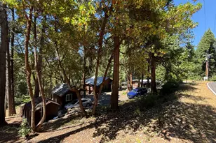 23445 Robin Rd, Pioneer, CA 95666 - Photo 12