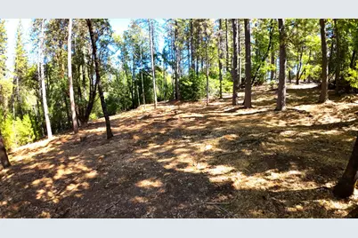 6324 Dickinson Road, Placerville, CA 95667 - Photo 34