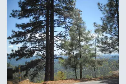 1202 Heather Drive, Murphys, CA 95247 - Photo 4