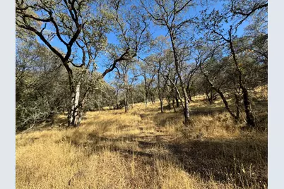 0 County Rd 270, Oregon House, CA 95962 - Photo 12
