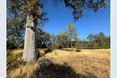 0 County Rd 270, Oregon House, CA 95962 - Photo 30