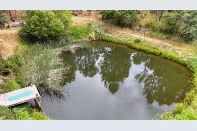 15655 Rough and Ready Highway, Rough and Ready, CA 95975 - Photo 40