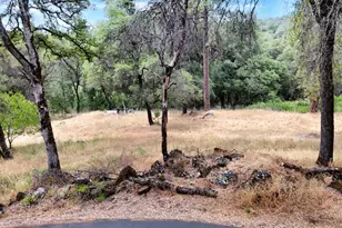 15655 Rough and Ready Hwy, Rough and Ready, CA 95975 - Photo 44