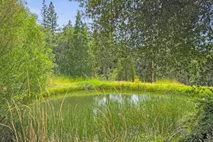 15655 Rough and Ready Hwy, Rough and Ready, CA 95975 - Photo 2