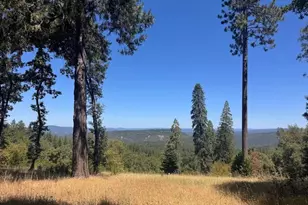 11986 Cement Hill Rd, Nevada City, CA 95959 - Photo 1