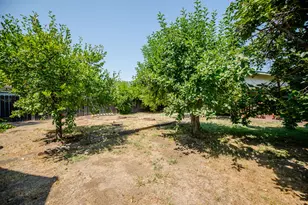 204 Emery St, Winters, CA 95694 - Photo 32