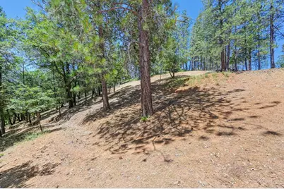 26375 Barb Wire Lane, Colfax, CA 95713 - Photo 52