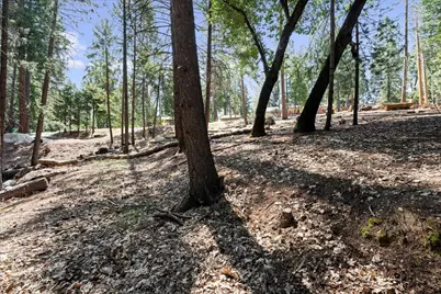 5521 Begonia Drive, Pollock Pines, CA 95726 - Photo 1
