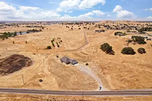 2226 Grapevine Gulch Rd, Ione, CA 95640 - Photo 54