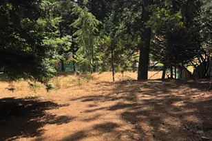 17503 Alexandra Way, Grass Valley, CA 95949 - Photo 30