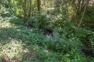 5260 McKeon Ponderosa Way, Foresthill, CA 95631 - Photo 52