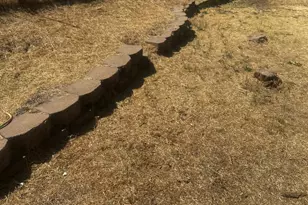 5068 Madison Ave, Coulterville, CA 95311 - Photo 38