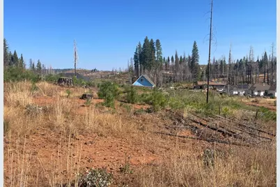 10141 Grizzly Flat Road, Grizzly Flats, CA 95636 - Photo 10