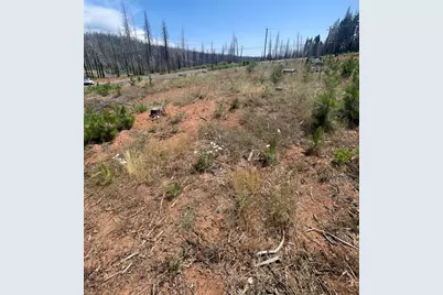 10141 Grizzly Flat Road, Grizzly Flats, CA 95636 - Photo 4