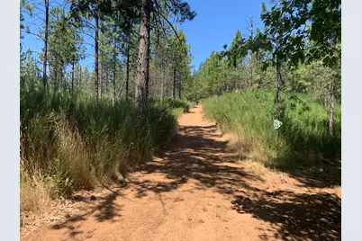 11880 Lost Ranch Way, Nevada City, CA 95959 - Photo 1