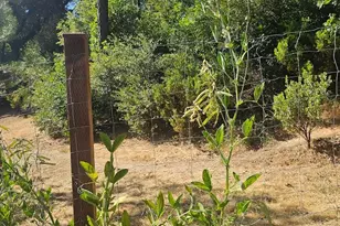 21819 Todd Valley Rd, Foresthill, CA 95631 - Photo 46