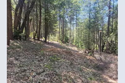 12 Ringtail, Georgetown, CA 95634 - Photo 10