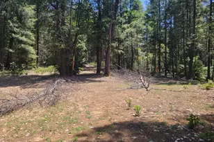 12 Ringtail, Georgetown, CA 95634 - Photo 1