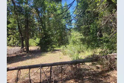 12 Ringtail, Georgetown, CA 95634 - Photo 12