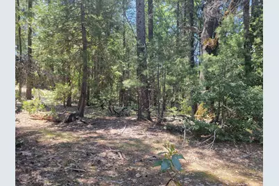 12 Ringtail, Georgetown, CA 95634 - Photo 6