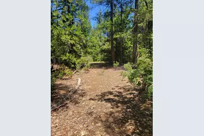 12 Ringtail, Georgetown, CA 95634 - Photo 2