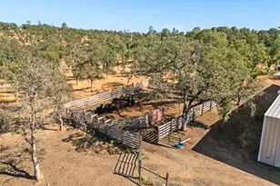 45 Lighthouse Ln, Bangor, CA 95901 - Photo 46