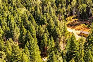 17079 Balboa Trl, Challenge, CA 95925 - Photo 44