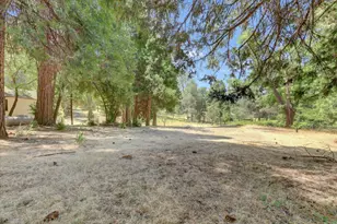 10978 Squirrel Creek, Grass Valley, CA 95945 - Photo 38