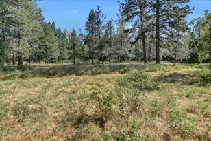 10978 Squirrel Creek, Grass Valley, CA 95945 - Photo 68