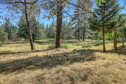 10978 Squirrel Creek, Grass Valley, CA 95945 - Photo 66