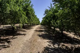 11012 Olive Rd, Oakdale, CA 95361 - Photo 32