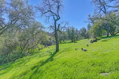 5001 Nance Drive, Pilot Hill, CA 95664 - Photo 42