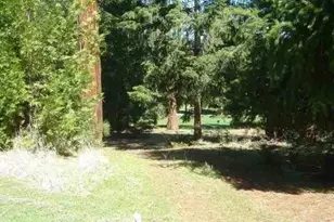 26441 Golf Links Dr, Pioneer, CA 95666 - Photo 1