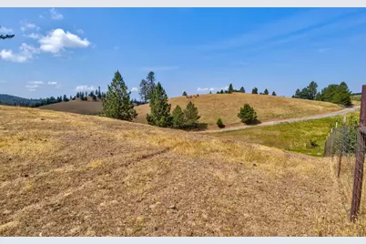 7279 Mountain Ranch, Mountain Ranch, CA 95249 - Photo 44