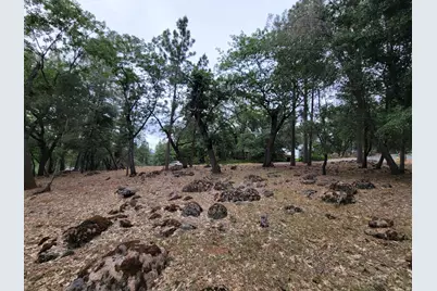 16700 Alice Way, Grass Valley, CA 95949 - Photo 6