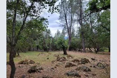 16700 Alice Way, Grass Valley, CA 95949 - Photo 2