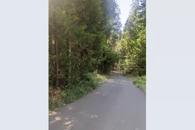 25952 Sylvan Road, Pioneer, CA 95666 - Photo 1