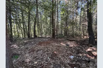 35 Bamford, Forbestown, CA 95941 - Photo 2