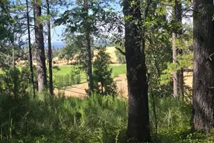 12042 Bitney Springs Rd, Nevada City, CA 95959 - Photo 1