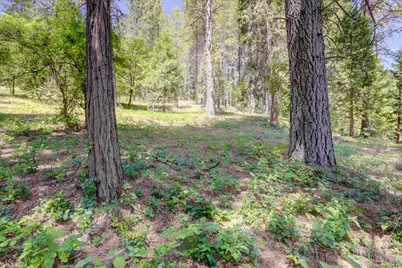262 W Olympia Drive, Grass Valley, CA 95945 - Photo 18