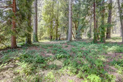 262 W Olympia Drive, Grass Valley, CA 95945 - Photo 8