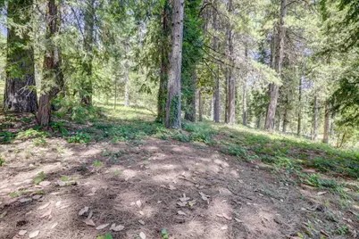 262 W Olympia Drive, Grass Valley, CA 95945 - Photo 16