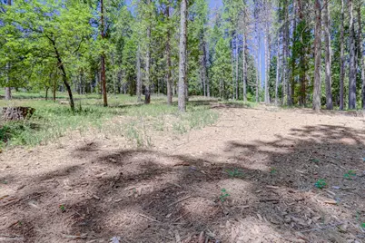 262 W Olympia Drive, Grass Valley, CA 95945 - Photo 26