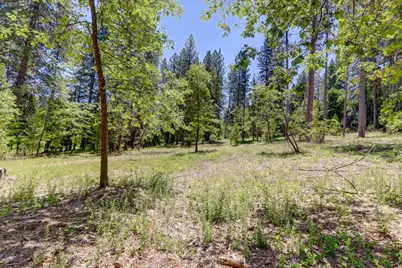 262 W Olympia Drive, Grass Valley, CA 95945 - Photo 32